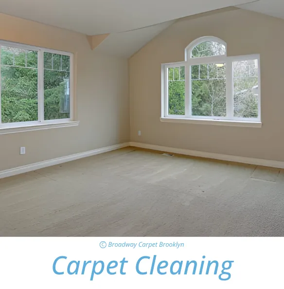 Carpet Cleaning
