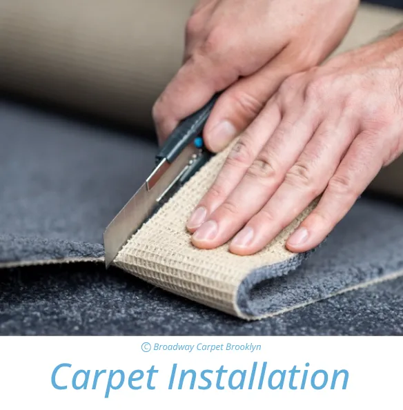 Rug Cleaning Process